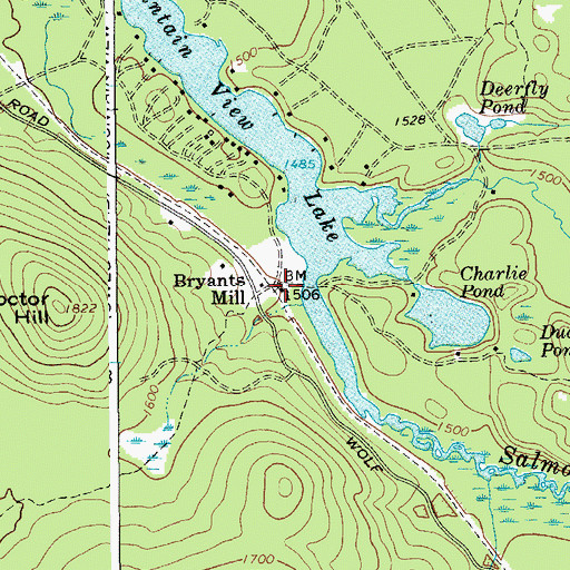 Topographic Map of Bryants Mill, NY