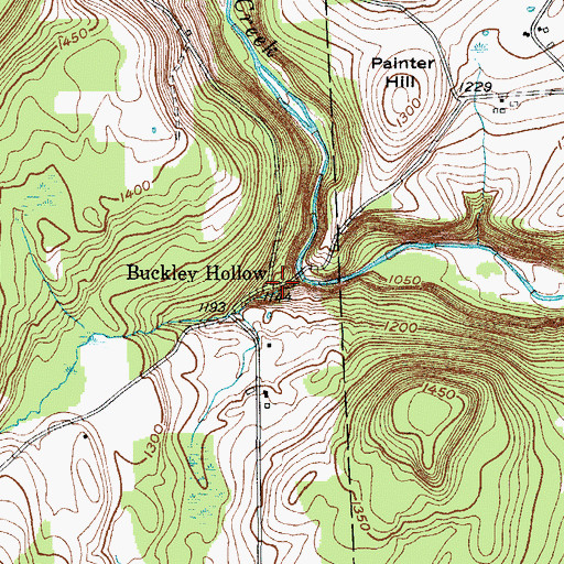 Topographic Map of Buckley Hollow, NY