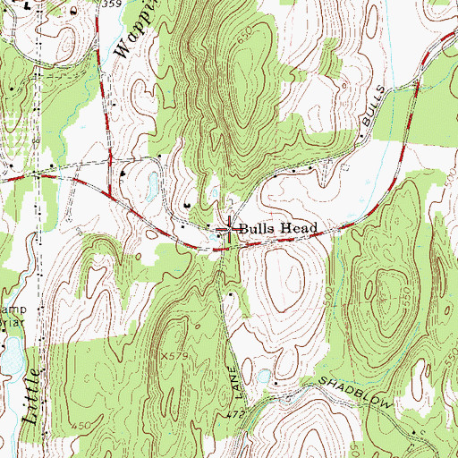 Topographic Map of Bulls Head, NY
