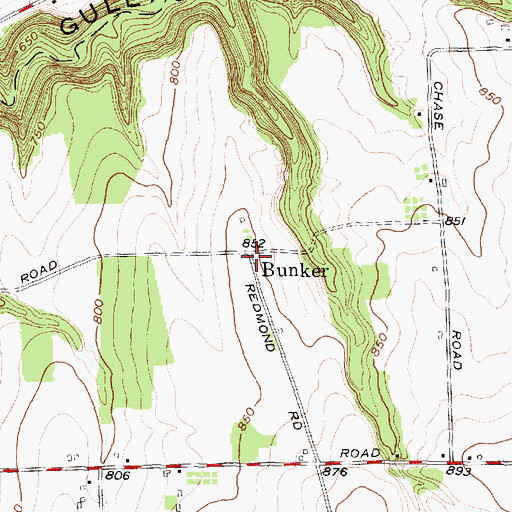 Topographic Map of Bunker, NY