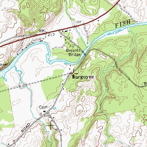 Topographic Map of Burgoyne, NY