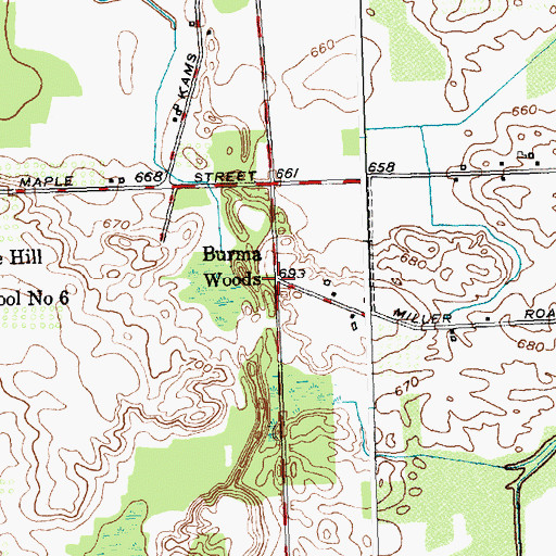 Topographic Map of Burma Woods, NY