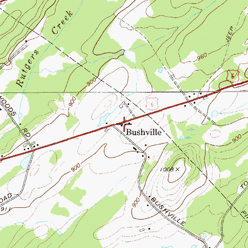 Topographic Map of Bushville, NY