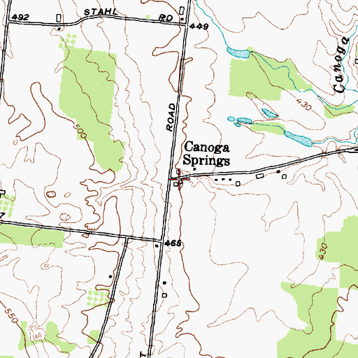 Topographic Map of Canoga Springs, NY