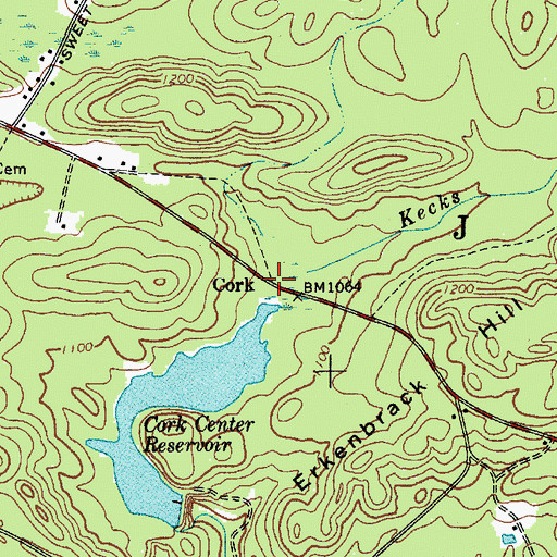 Topographic Map of Cork, NY