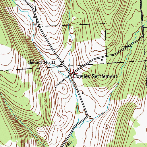 Topographic Map of Cowles Settlement, NY