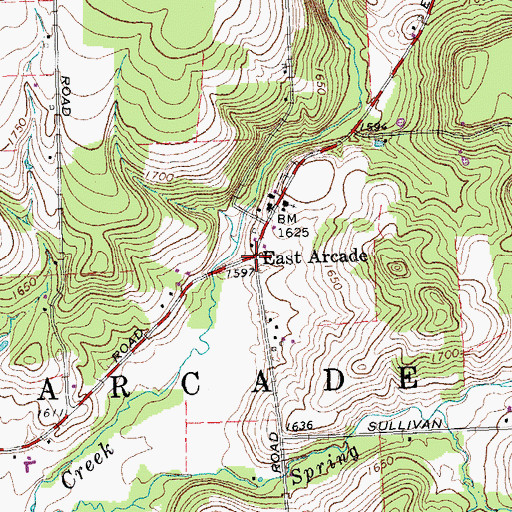 Topographic Map of East Arcade, NY