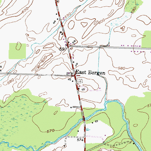 Topographic Map of East Bergen, NY