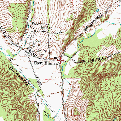 Topographic Map of East Elmira, NY