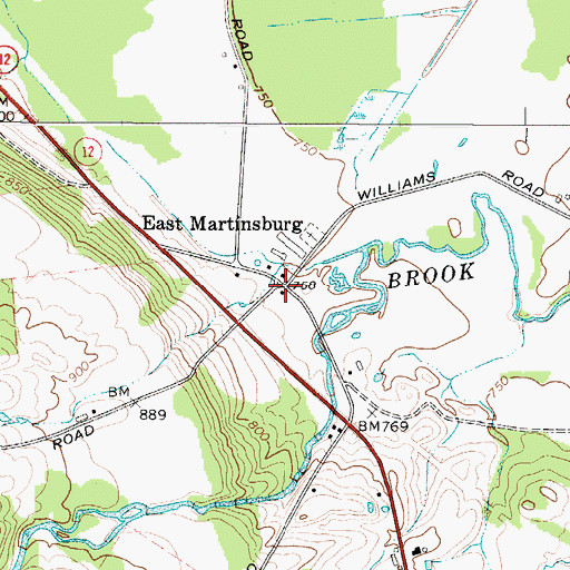 Topographic Map of East Martinsburg, NY