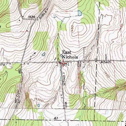 Topographic Map of East Nichols, NY