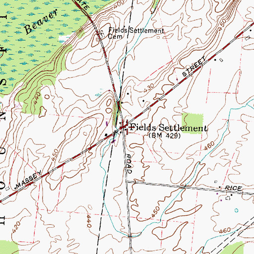 Topographic Map of Fields Settlement, NY