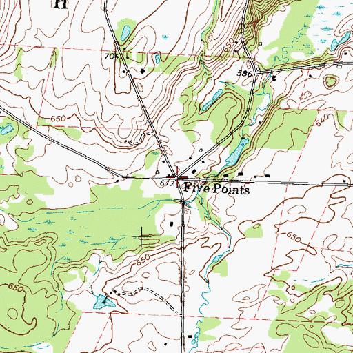 Topographic Map of Five Points, NY
