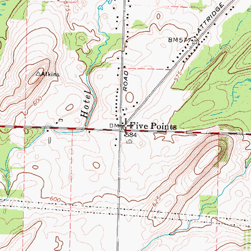 Topographic Map of Five Points, NY
