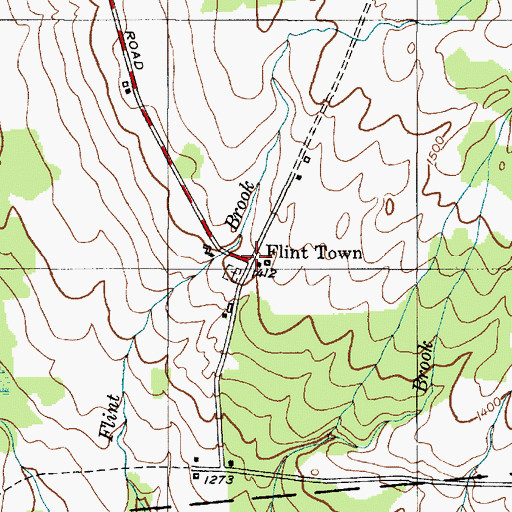 Topographic Map of Flint Town, NY