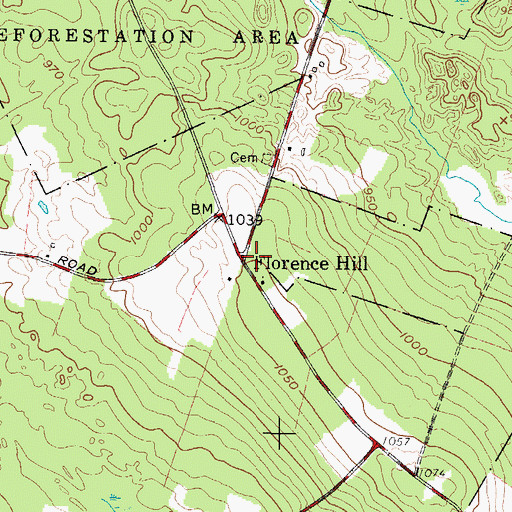 Topographic Map of Florence Hill, NY