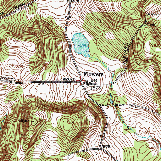 Topographic Map of Flowers, NY