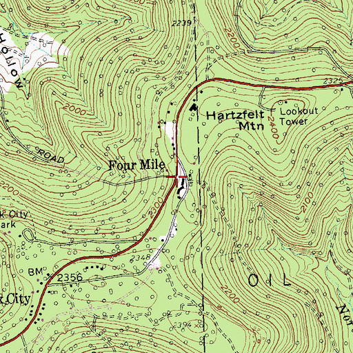 Topographic Map of Four Mile, NY