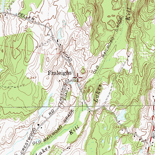 Topographic Map of Fraleighs, NY