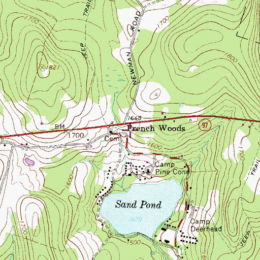 Topographic Map of French Woods, NY