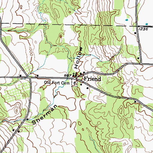 Topographic Map of Friend, NY