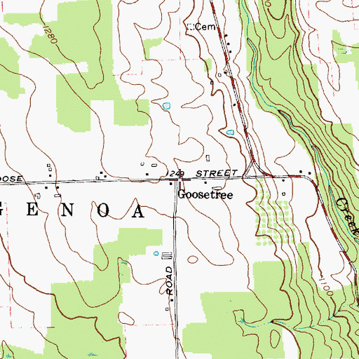 Topographic Map of Goosetree, NY