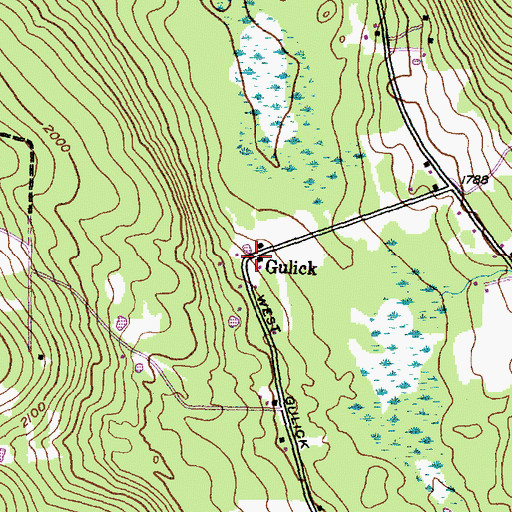 Topographic Map of Gulick, NY