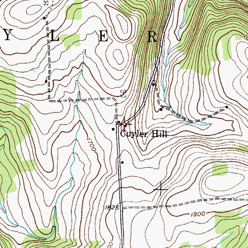 Topographic Map of Guyler Hill, NY