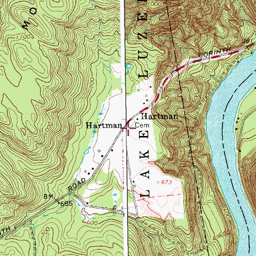Topographic Map of Hartman, NY