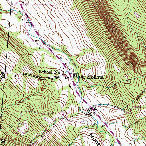 Topographic Map of Hunt Hollow, NY