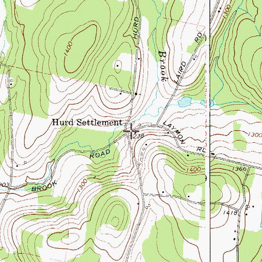 Topographic Map of Hurd Settlement, NY