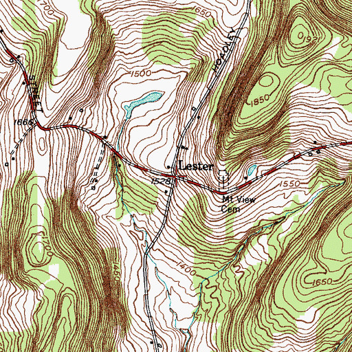 Topographic Map of Lester, NY