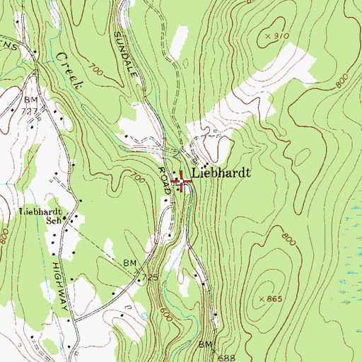 Topographic Map of Liebhardt, NY