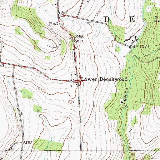 Topographic Map of Lower Beechwood, NY