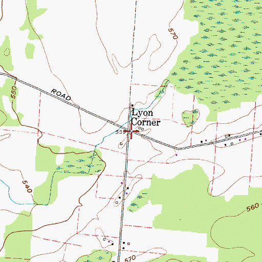 Topographic Map of Lyon Corner, NY