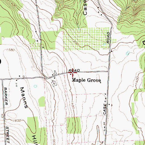 Topographic Map of Maple Grove, NY