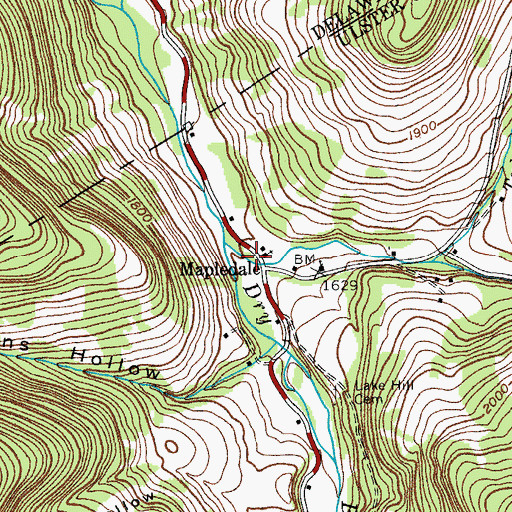 Topographic Map of Mapledale, NY