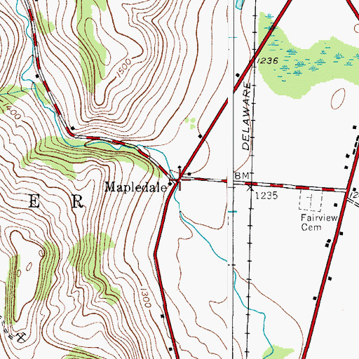 Topographic Map of Mapledale, NY