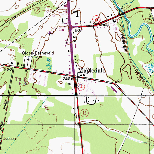 Topographic Map of Mapledale, NY