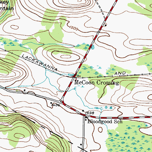 Topographic Map of McCoon Crossing, NY