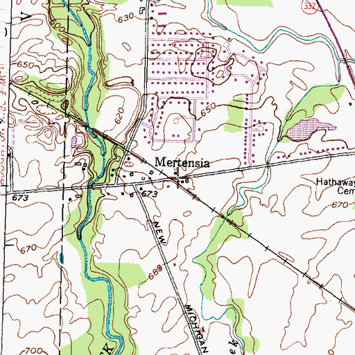 Topographic Map of Mertensia, NY