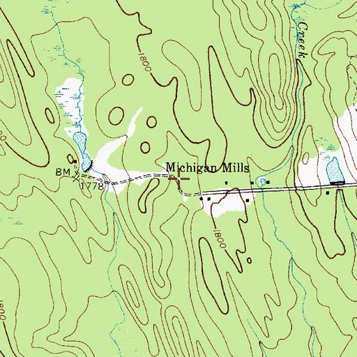Topographic Map of Michigan Mills, NY
