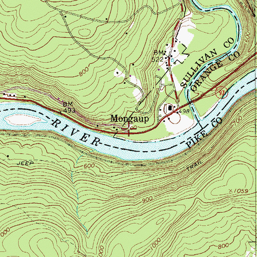Topographic Map of Mongaup, NY