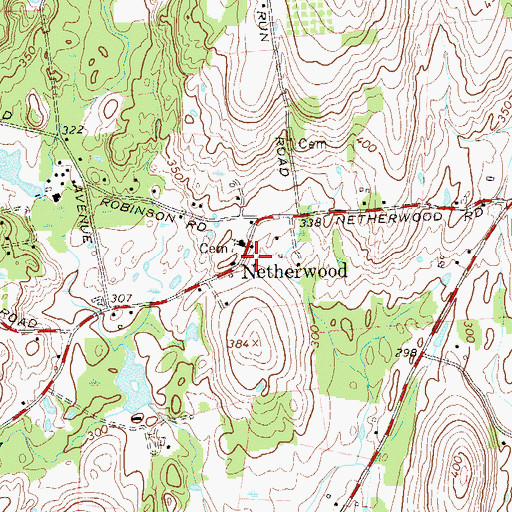 Topographic Map of Netherwood, NY