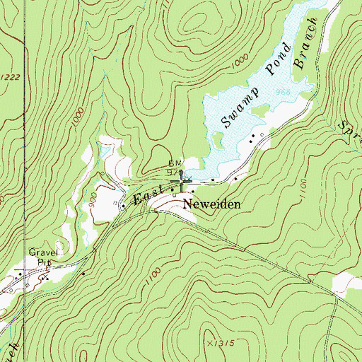 Topographic Map of Newieden, NY