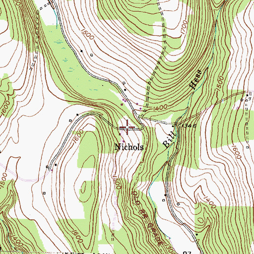 Topographic Map of Nichols, NY