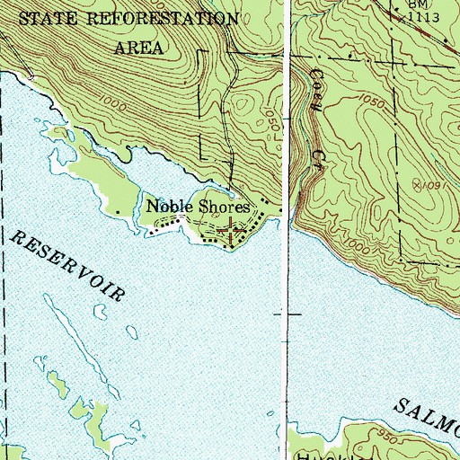 Topographic Map of Noble Shores, NY