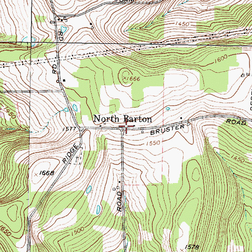 Topographic Map of North Barton, NY