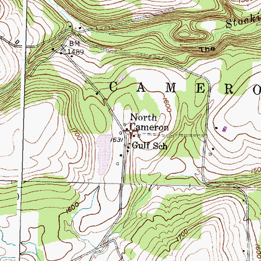 Topographic Map of North Cameron, NY