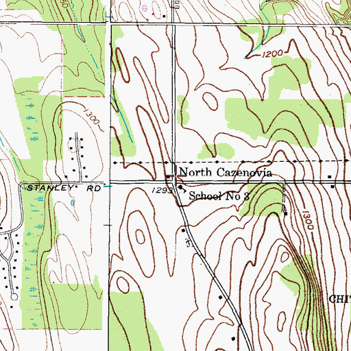 Topographic Map of North Cazenovia, NY